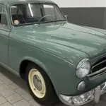 enzo-3133