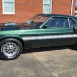 mustang-4195