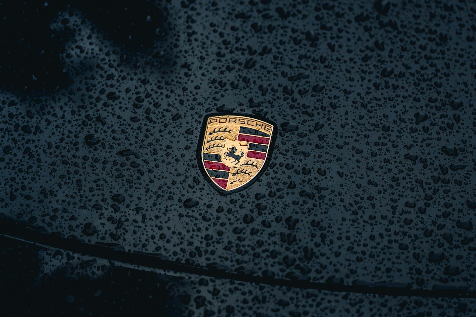 a close up of a car's emblem on a wet surface