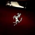 the emblem on the side of a car