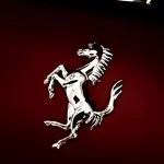 the emblem on the side of a car