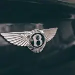 Bentley's 80th Anniversary Continental GTC Isn't the Story. Crewe's Unbroken Record Is. white and black striped bird illustration