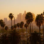 California's Smog Infrastructure Is Failing Collectors. Leno's Law Is the Fix. green palm tree and city view