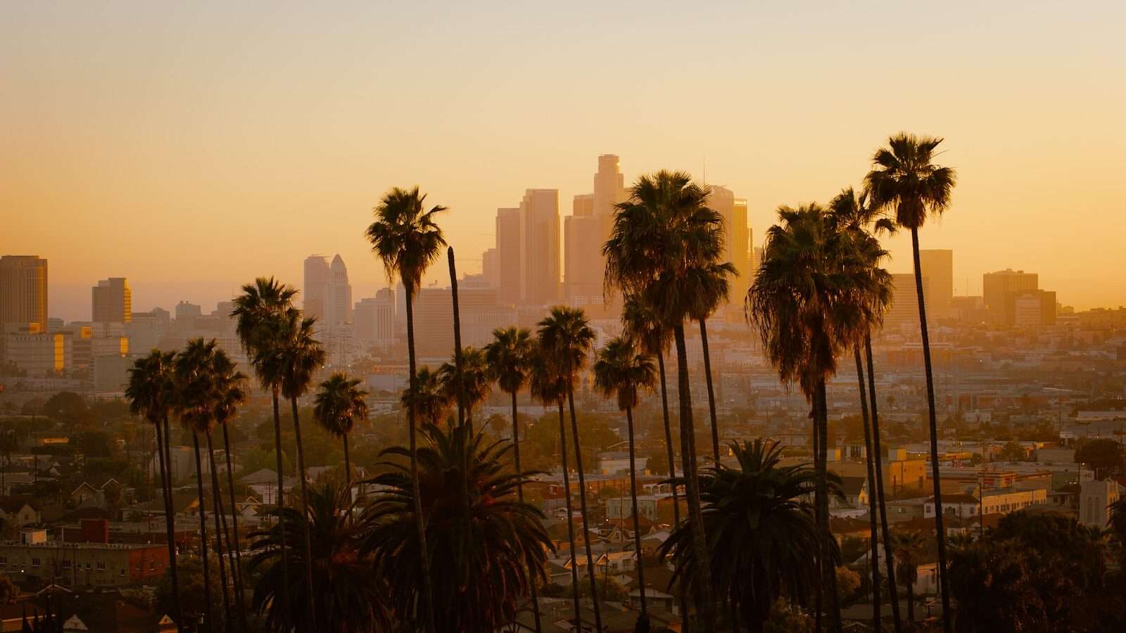 California’s Smog Infrastructure Is Failing Collectors. Leno’s Law Is the Fix. - featured image