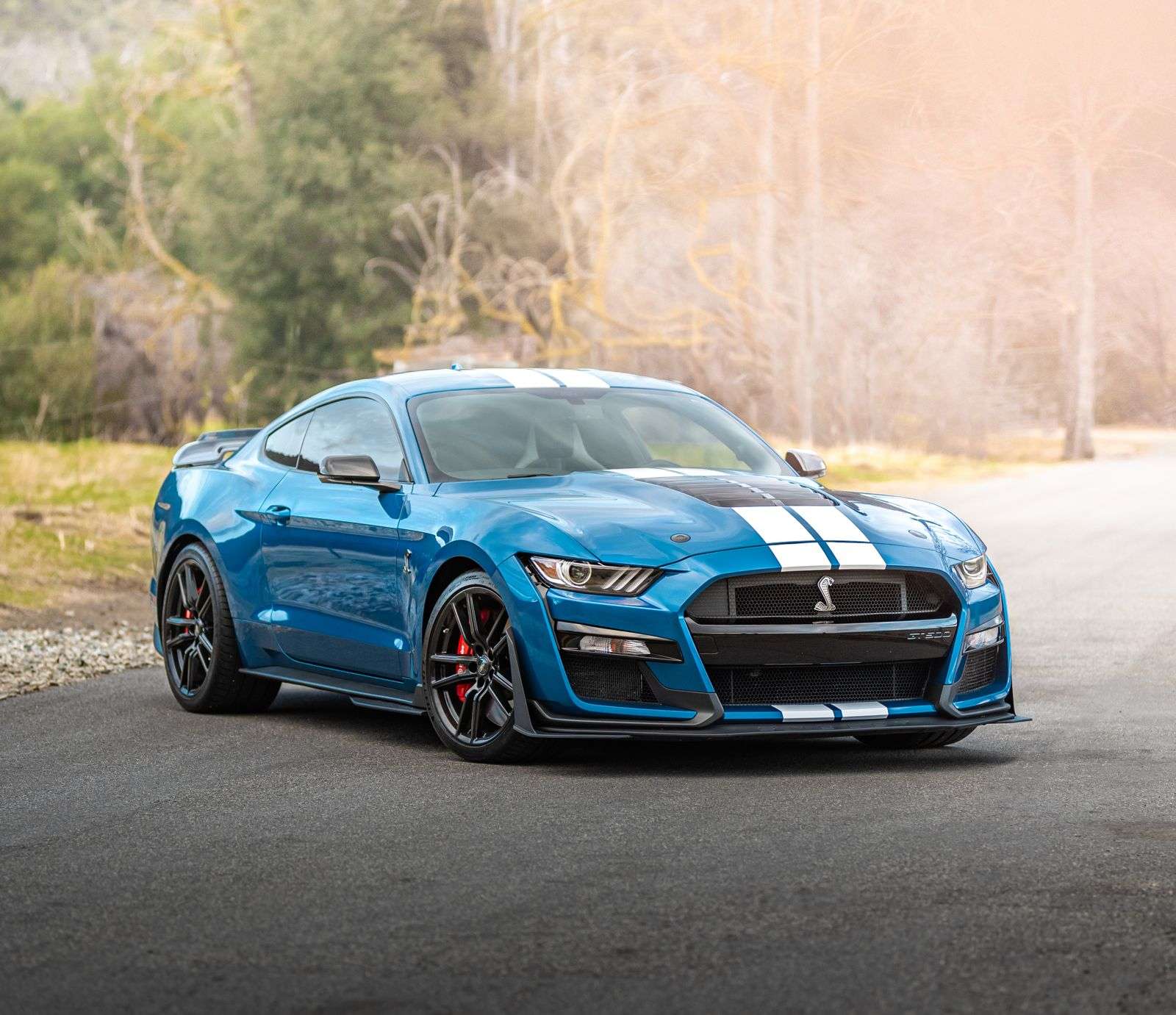 Blue American performance coupe with white racing stripes