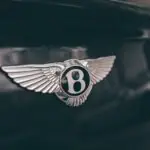 Bentley's Torcal Will Be Its Fastest Car Ever. That's Not Why Collectors Should Care. white and black striped bird illustration