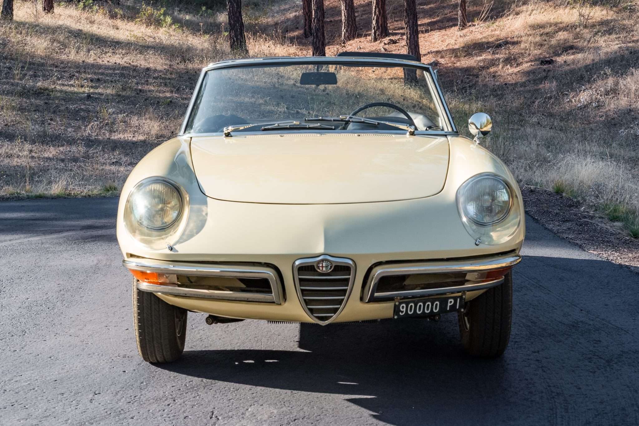 Head-on view of a 1966 Alfa Romeo Duetto showing the shield grille and split chrome bumpers