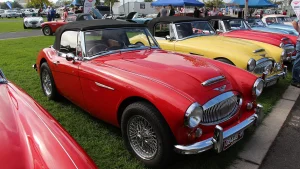 Austin-Healey 3000 vs Sunbeam Tiger vs Triumph TR6: Three British Roadsters, Priced by Condition, Not Badge - featured image