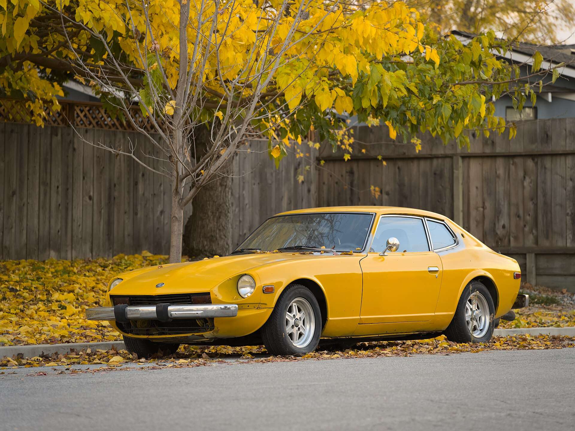 Yellow Datsun 240Z parked beside a fence with autumn leaves