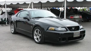 Terminator Cobra Buying Guide: Which 2003–04 SVT Mustang to Buy, and What to Check First - featured image