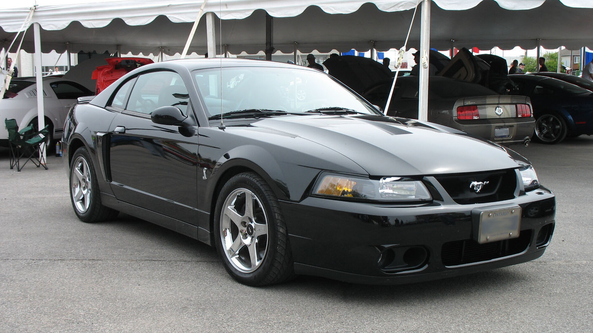 Terminator Cobra Buying Guide: Which 2003–04 SVT Mustang to Buy, and What to Check First - featured image